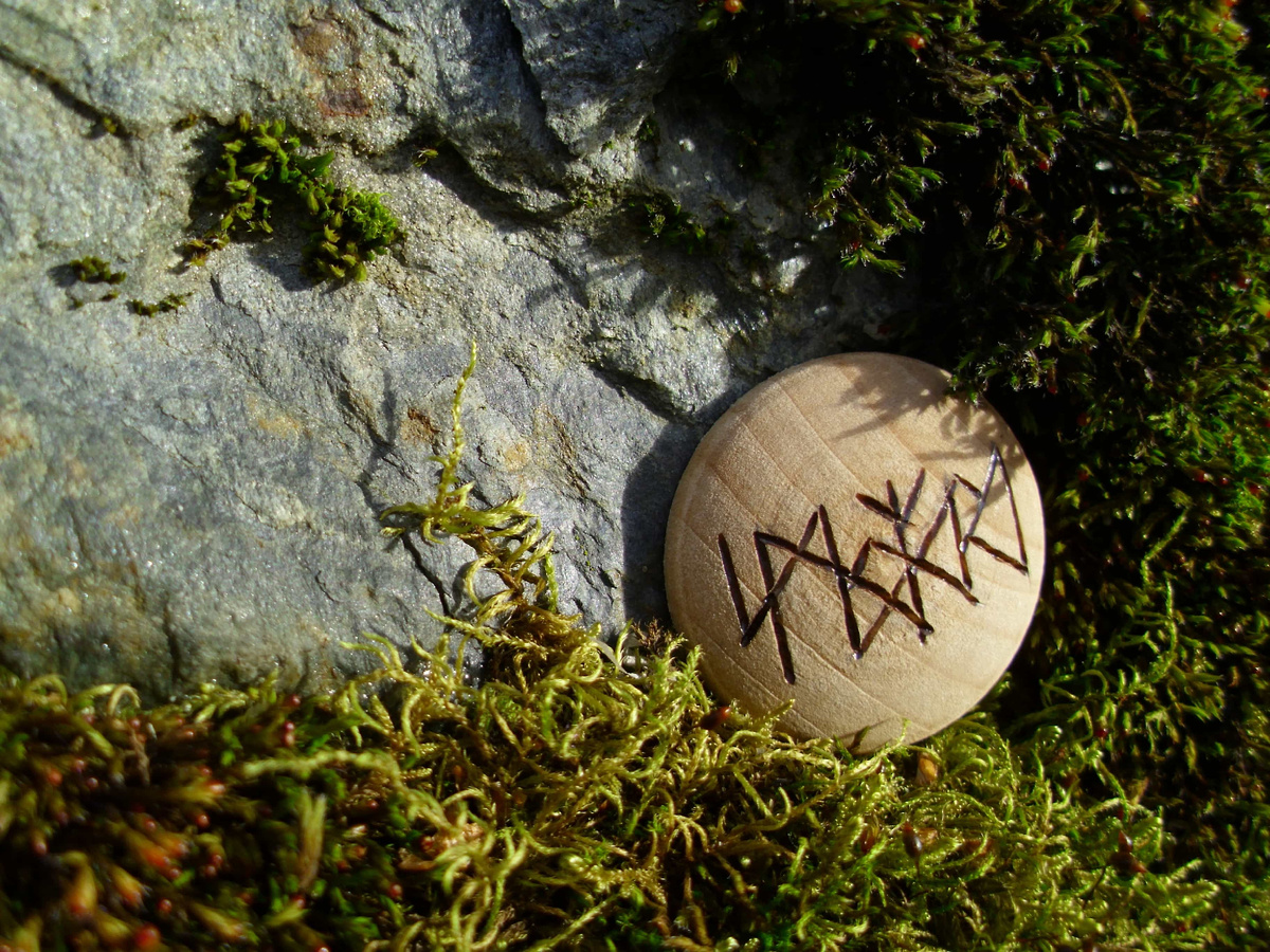 Фото из сети.