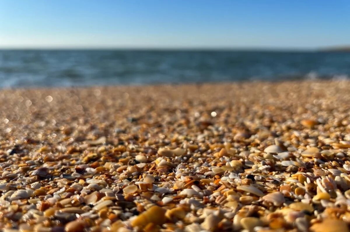    Смоляне могут забронировать путевку в детский лагерь на Азовском море