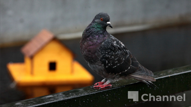 Фото: Анастасия Илюшина/47channel