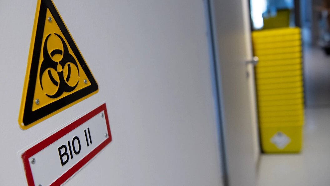    Фото: Sven Hoppe/dpa/Globallookpress