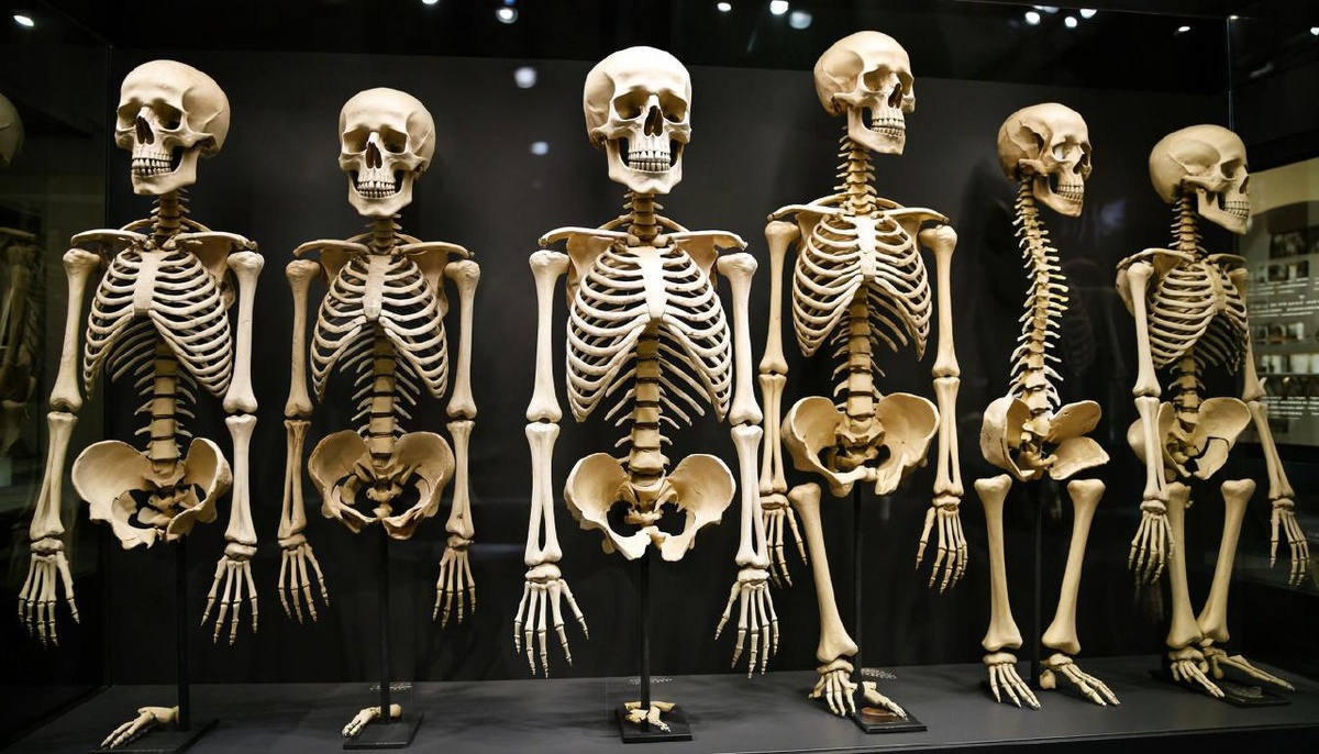    Фото сгенерировано Kandinsky 4.1