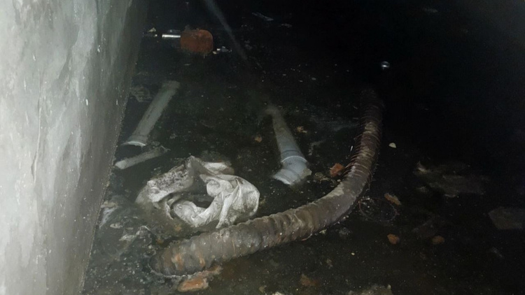    Затопленный подвал, «Постньюс»