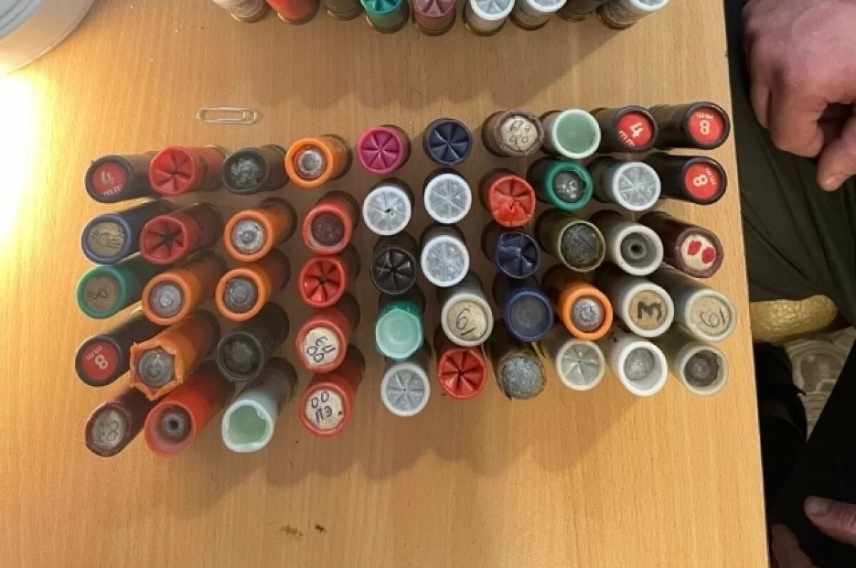    Жители Сегежского округа незаконно занимались оружием и боеприпасами