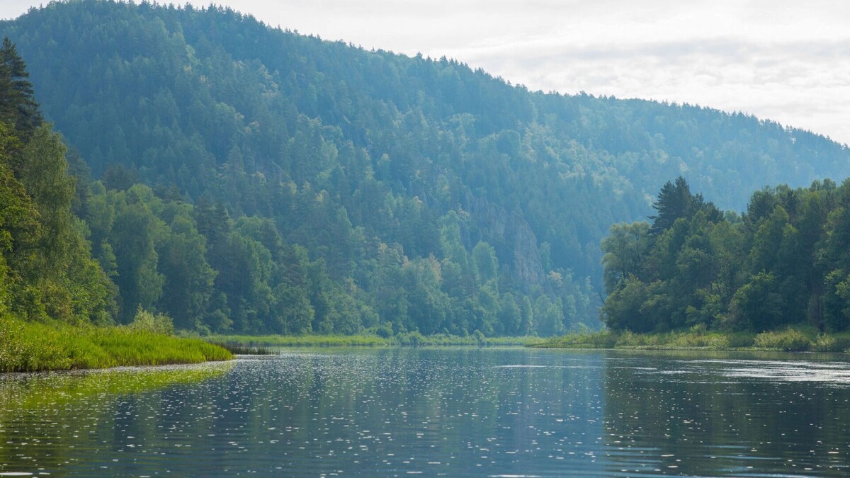     Автор: Кристина Дейнеко Источник: mkset.ru