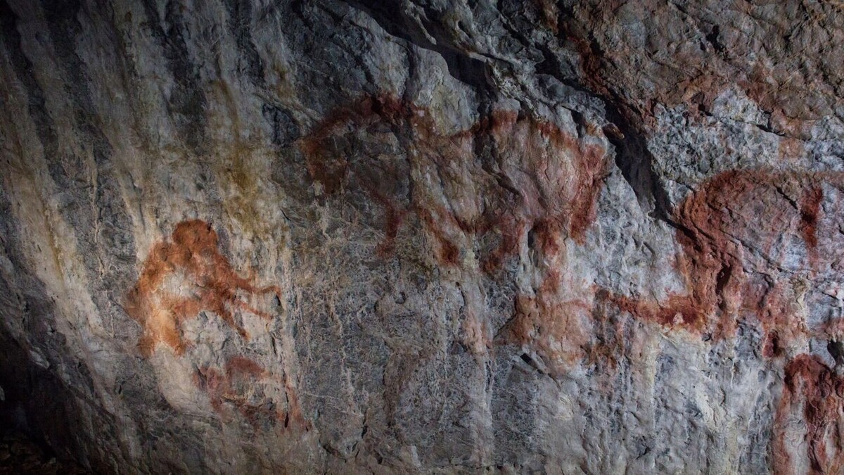     Автор: Кристина Дейнеко Источник: mkset.ru