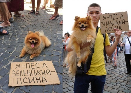    Активист, сравнивший Зеленского с псиной, пойдёт под суд