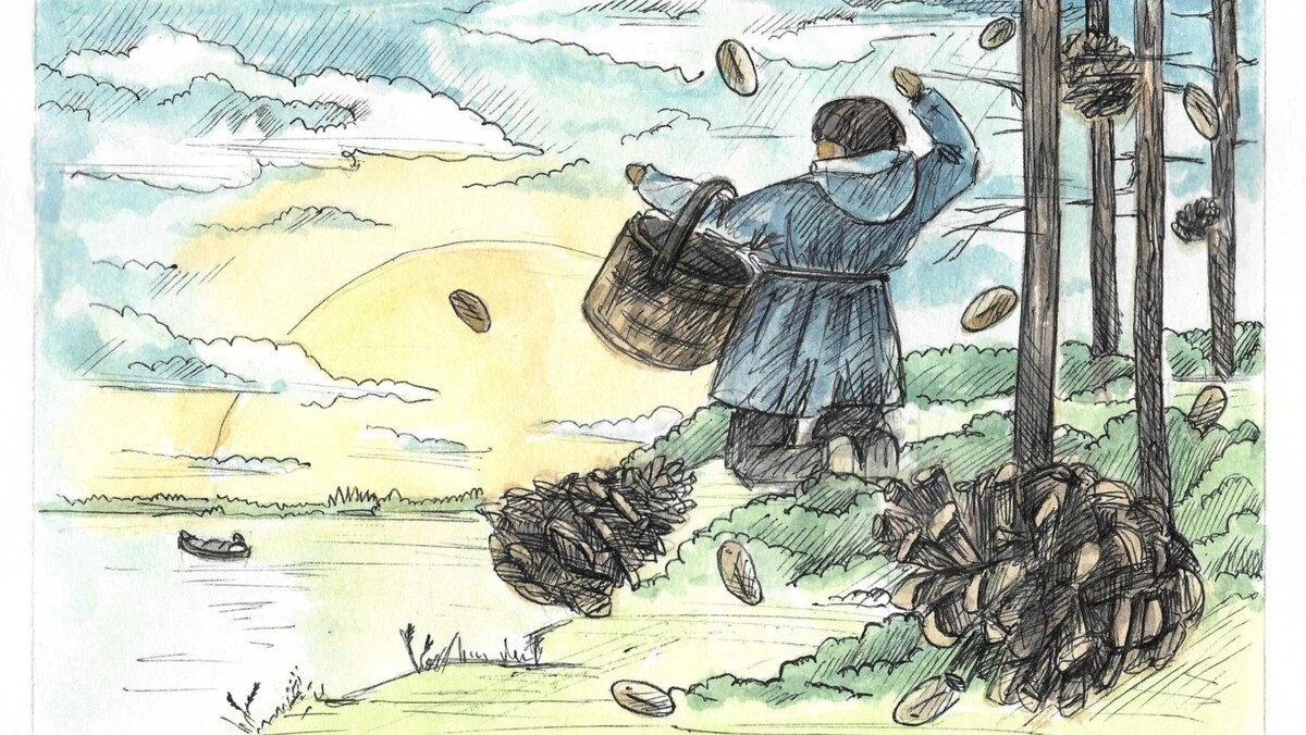    Иллюстрация: Наталья Колбина / «Ямал-Медиа»