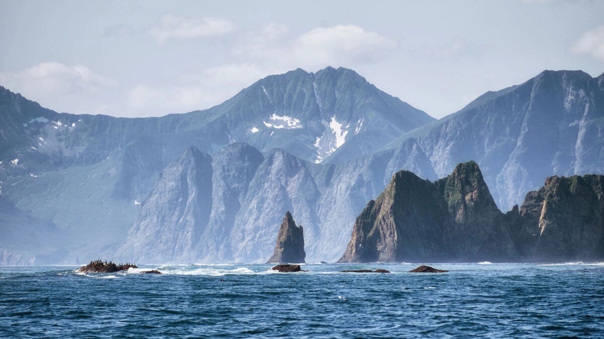    Фото: Egoreichenkov Evgenii/Shutterstock/Fotodom