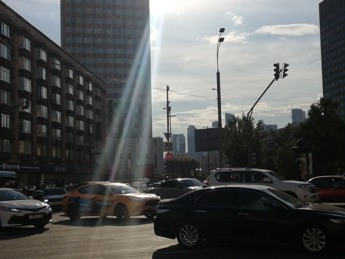 судебный представитель, литигатор