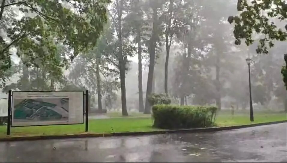    Фото: скриншот видео из Telegram-канала «Мегаполис | ДТП и ЧП | Санкт-Петербург | Питер»