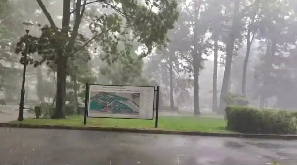    Фото: скриншот видео из Telegram-канала «Мегаполис | ДТП и ЧП | Санкт-Петербург | Питер»