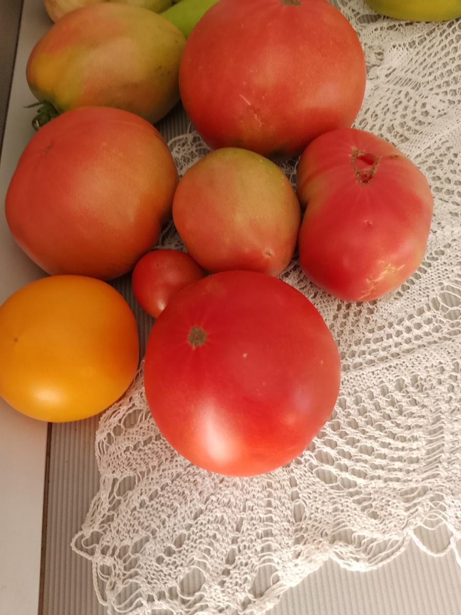 Это на завтра)