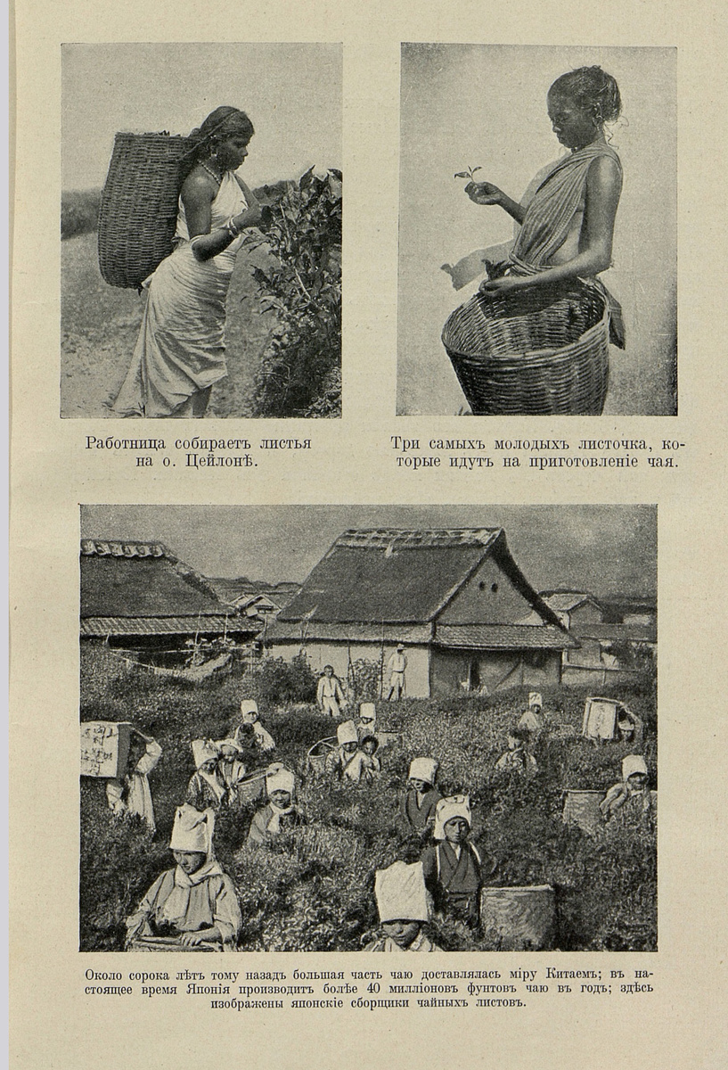 Источник фото: Национальная электронная детская библиотека https://nebdeti.ru/