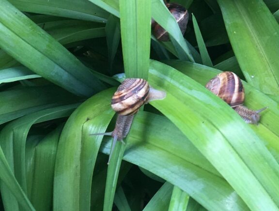    Фото: Министерство природных ресурсов