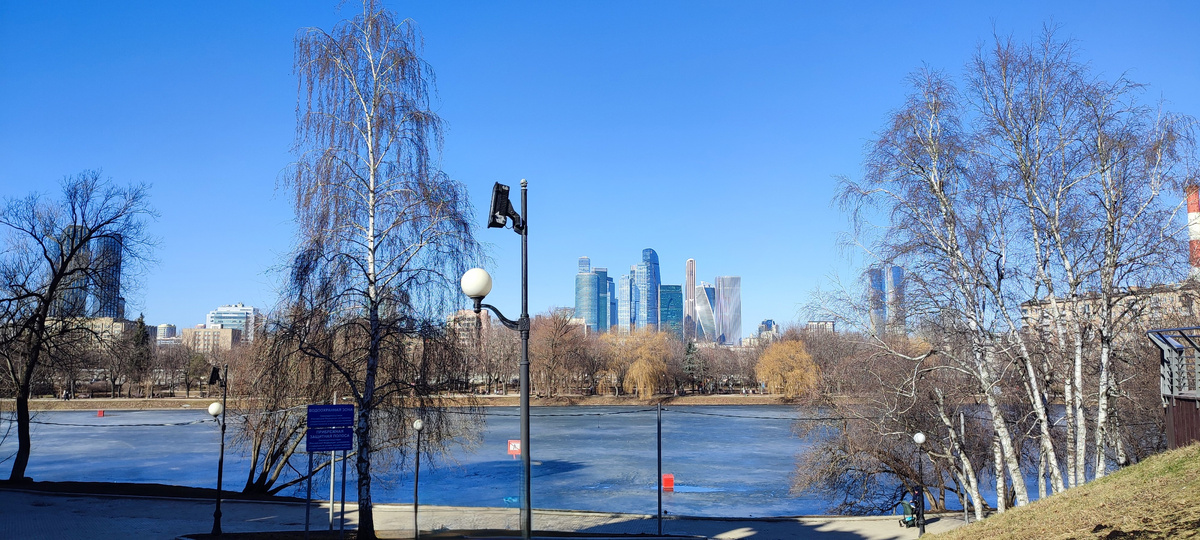 С пригорка у пруда открывается красивый вид на Москва-Сити