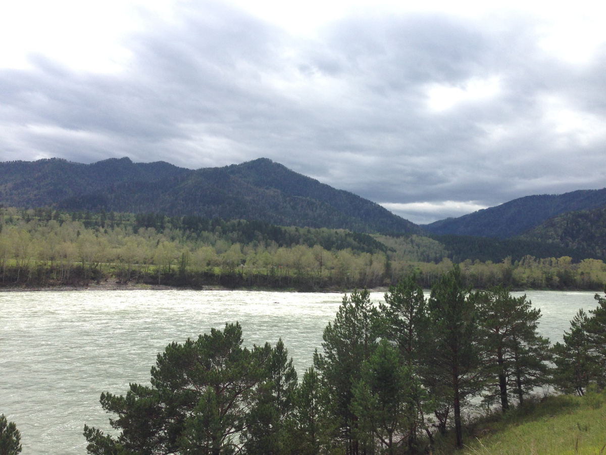 Алтай, река Катунь