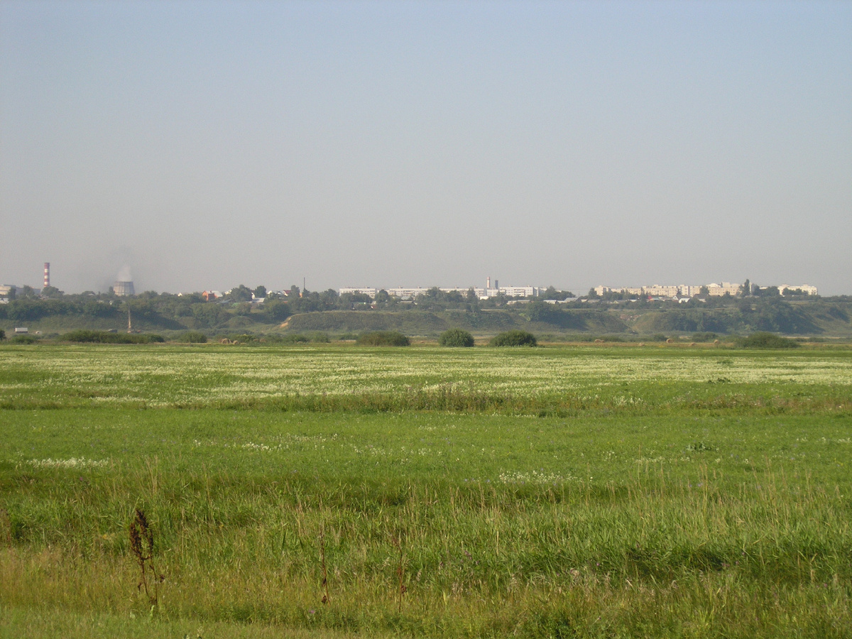 Цветет и зеленеет пойма Оки