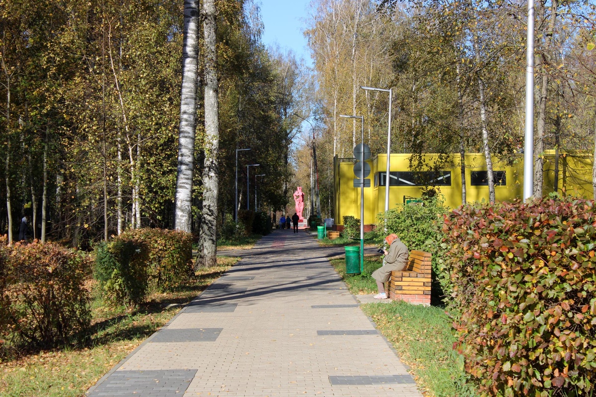 Эксперты называют пожелтевшие листья частью аномалий, связанных с изменениями климата.  Фото: ФедералПресс / Ксения Кобалия