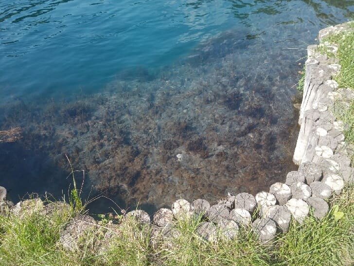    Фото: Пруфы