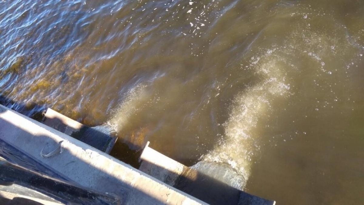    В Саратовской области прекратили строительство водозабора в СамойловкеНовости Саратова и области – Сетевое издание «Репортер64»