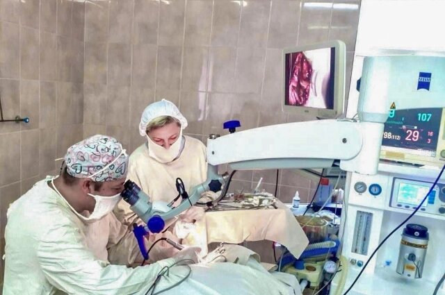    Распространены хронические средние отиты, но высокотехнологичная помощь требуется и для решения других ЛОР-проблем.