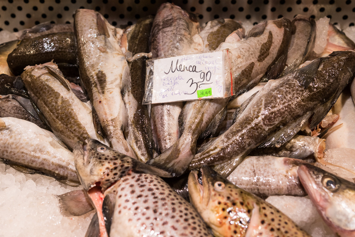 Балтийская треска © Sputnik