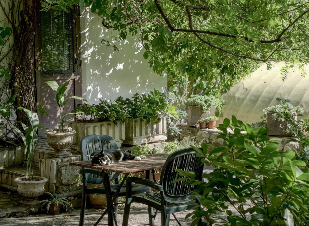 Работа в саду и огороде в августе 2025 году 