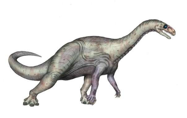 Унайзавр. Иллюстрация.