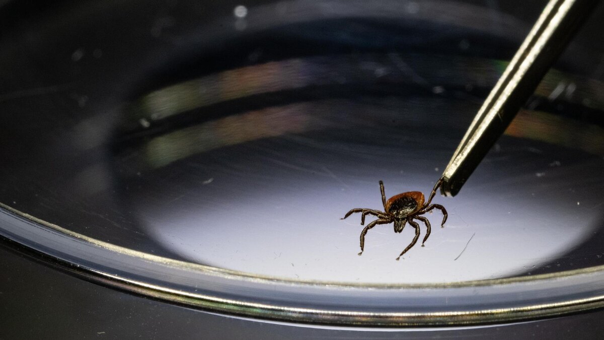    Фото: Marijan Murat/globallookpress.com