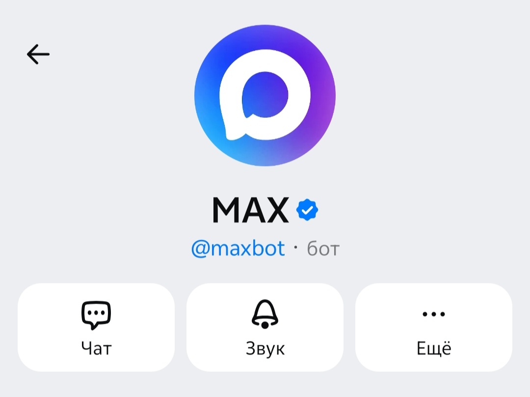 Мессенджер MAX