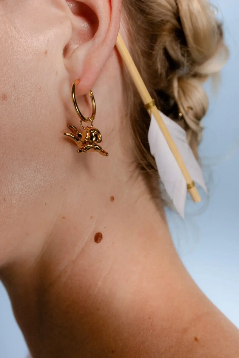    бренд Qari Qris