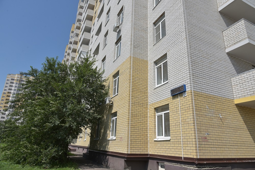     То самое дерево, которое спасло двухлетнего мальчика. Фото: Виталий ГАРКУША