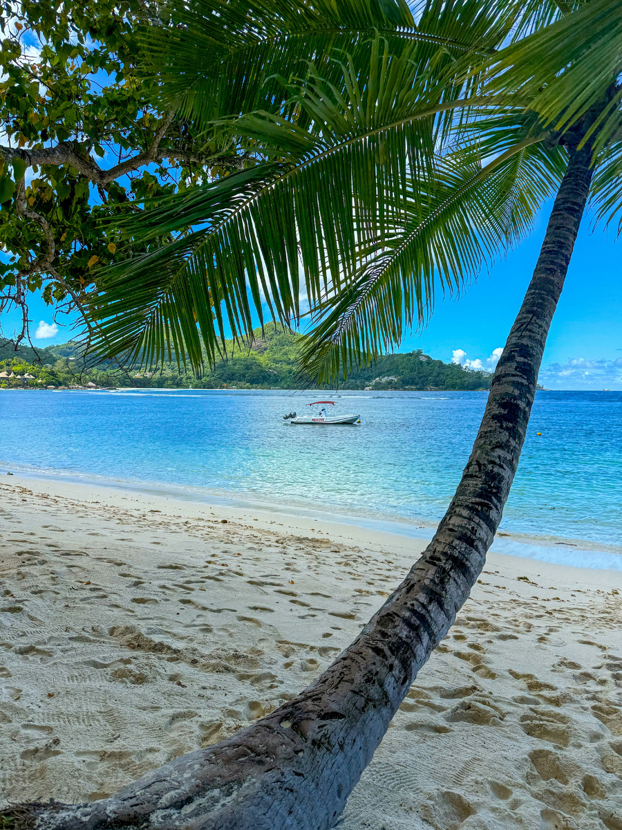 Photo by Oshry Chen on Unsplash