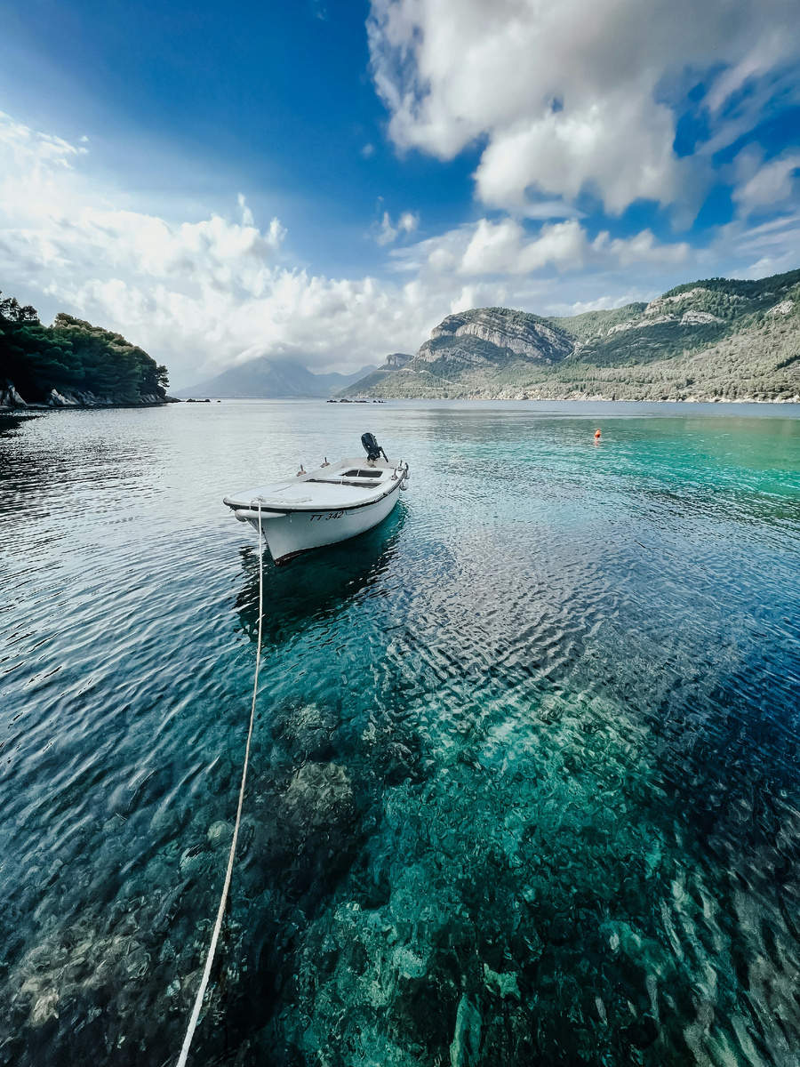 Photo by Yana K. on Unsplash