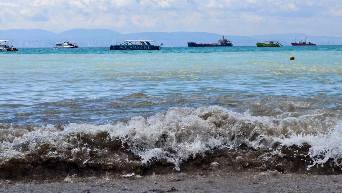     Источник: novostivolgograda.ru