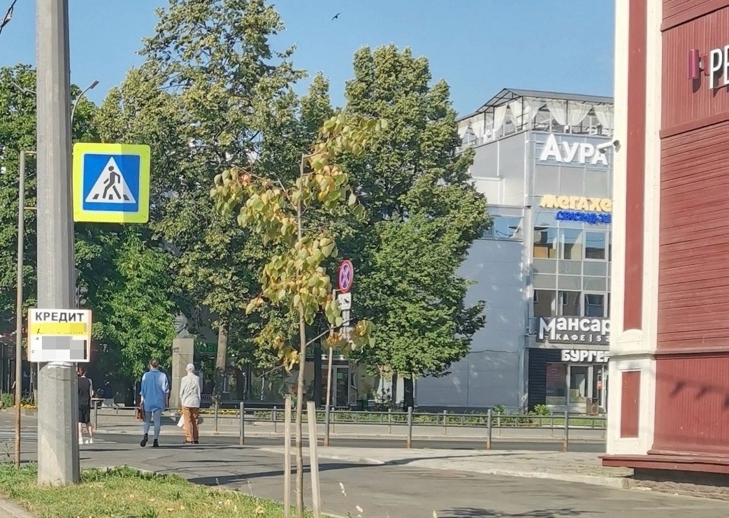    Фото: администрация Петрозаводского городского округа/ ВКонтакте