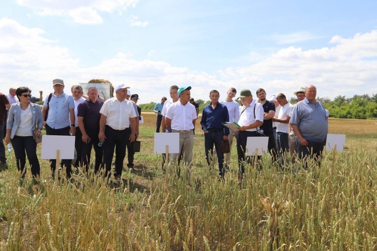    В Оренбуржье обсудили перспективы селекционного семеноводства Оренбуржье