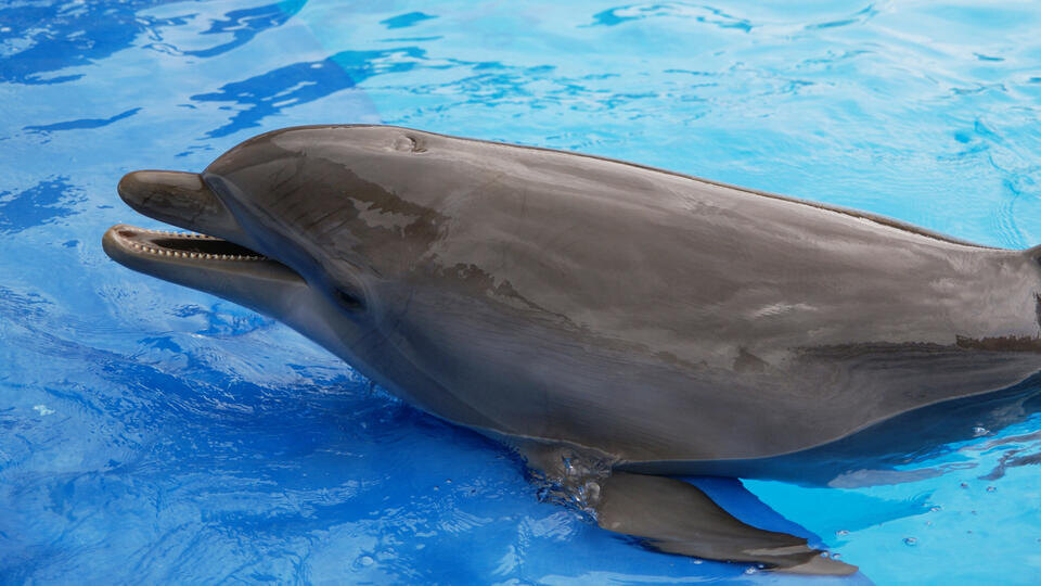 Фото: © www.globallookpress.com/Alexander Chaplygin 