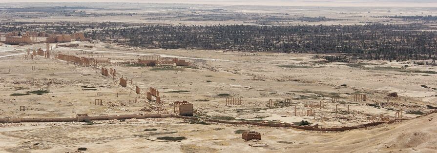 Панорама древнего города Пальмиры. 2021 г. Изображение из открытых источников