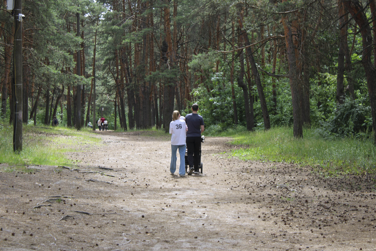 В ближайшие годы планируется создать еще несколько экологических маршрутов.  Фото: Фото: ФедералПресс / Ксения Кобалия