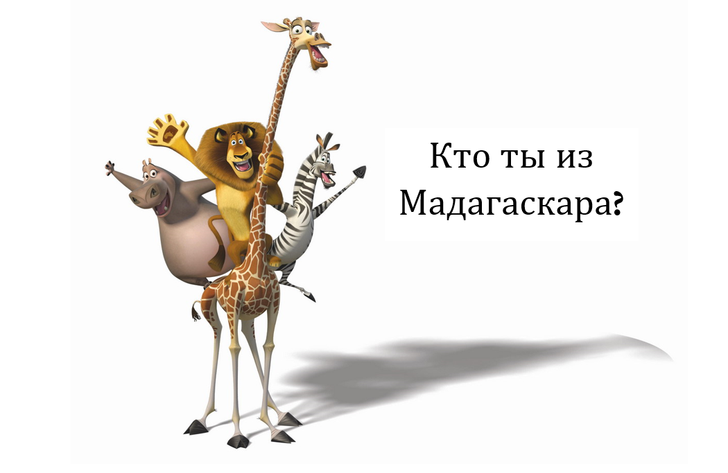 Кто ты из Мадагаскара *Умная кухня