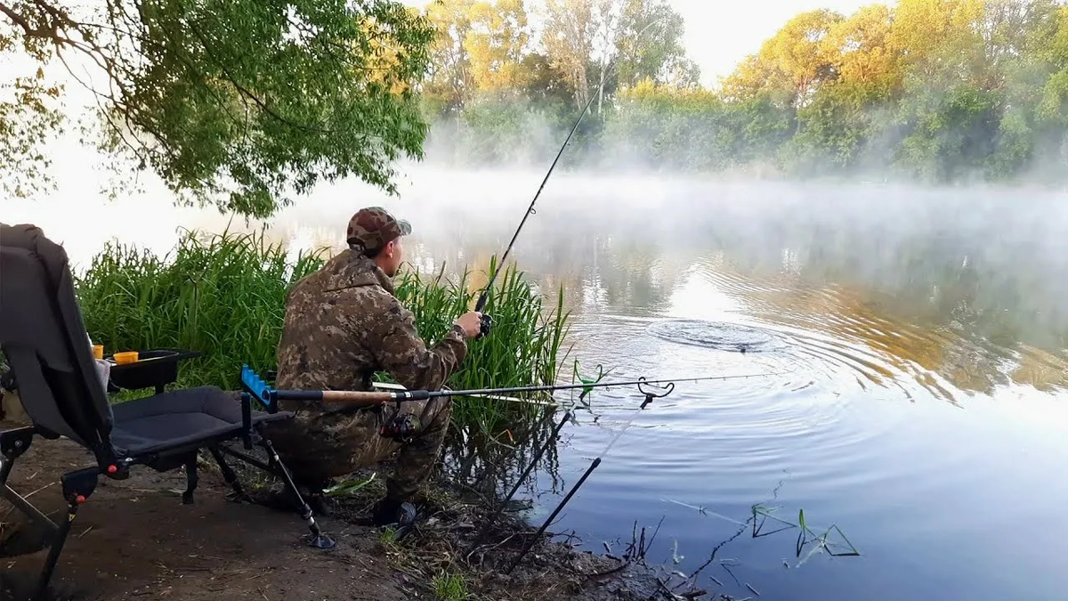 Фото с сайта: https://avatars.mds.yandex.net