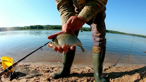 Фото с сайта: https://avatars.mds.yandex.net