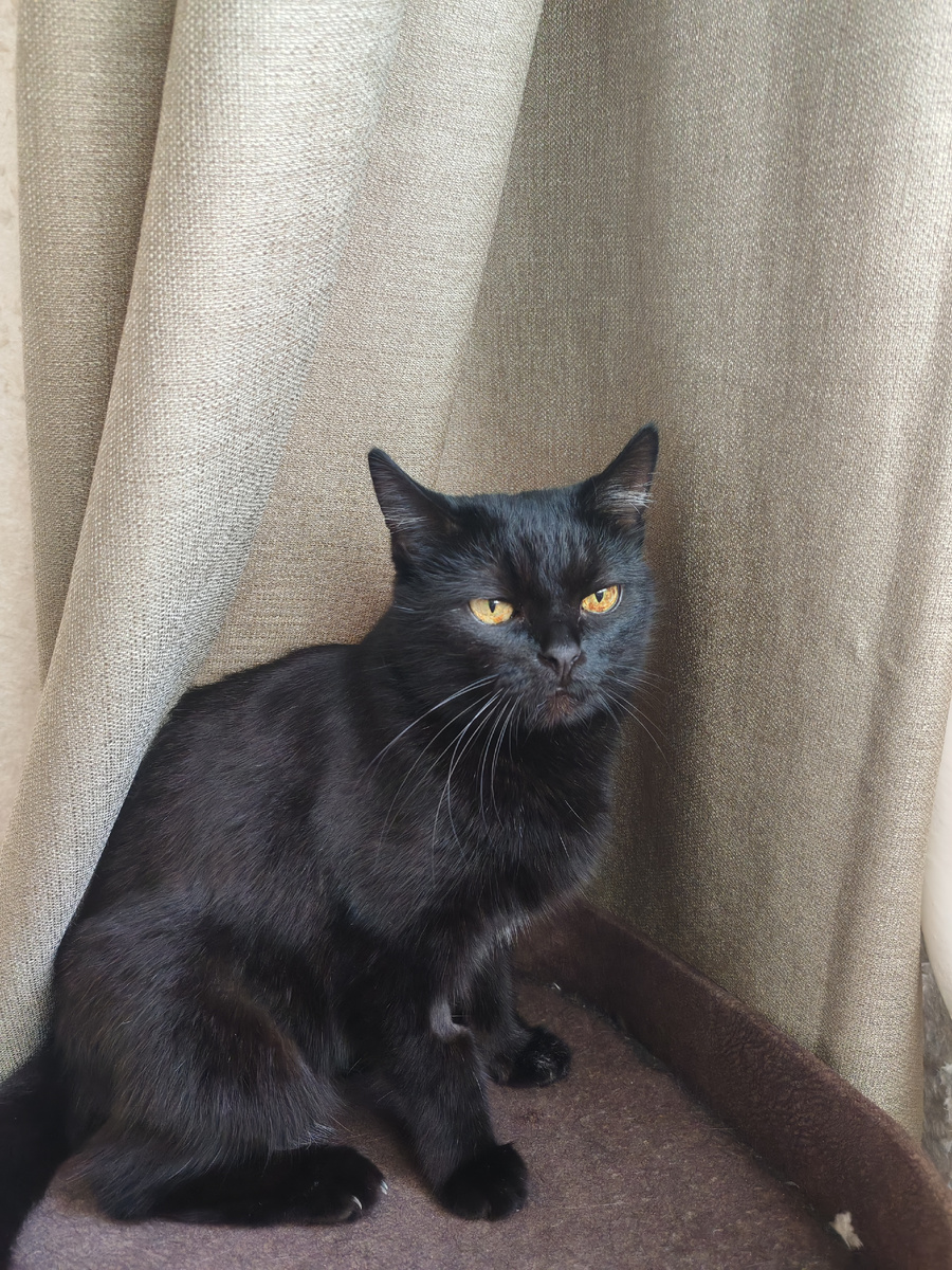 Ночка в день операции.  Фото автора 