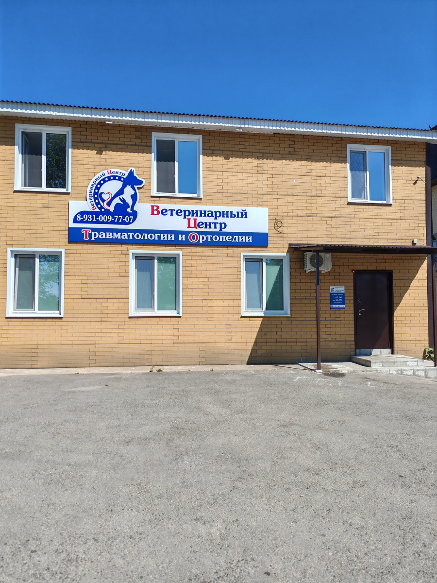 Ветеринарная клиника. Фото автора 