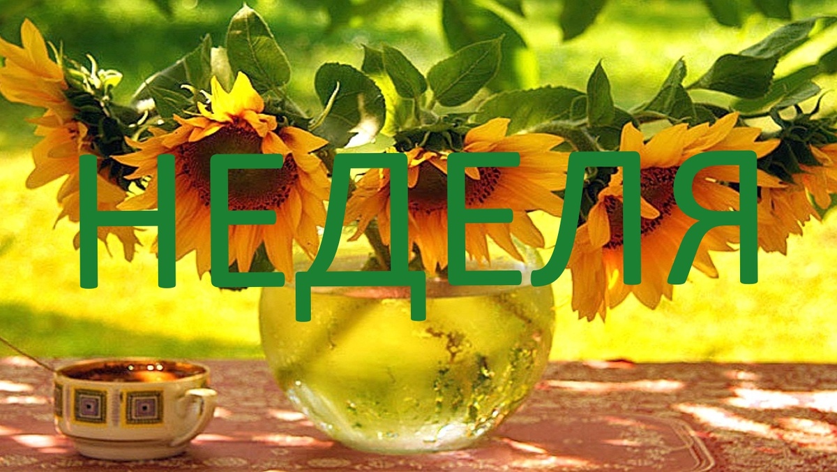 Подсолнухи. Фото wishescards.ru