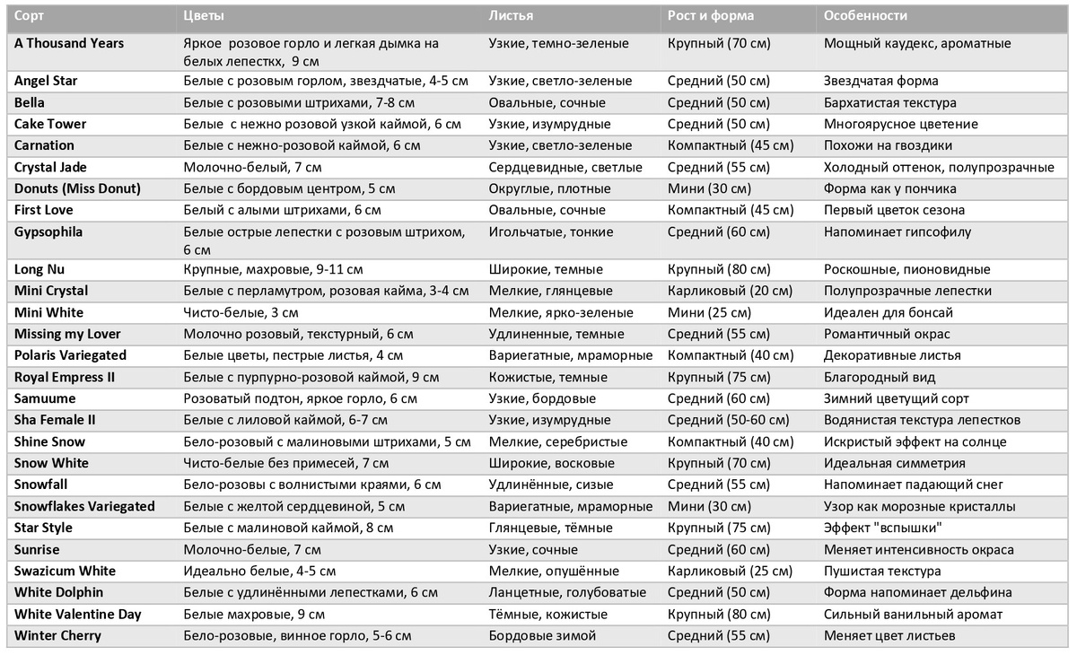 Список сортов белых аденикмов