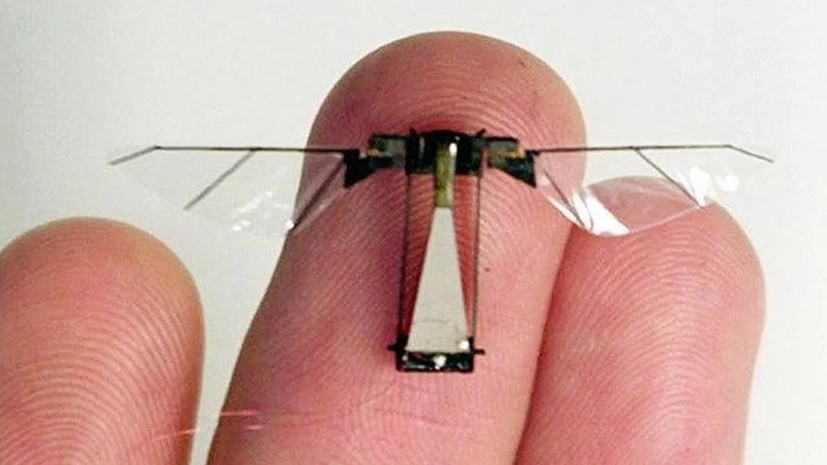 На фотографии: китайский миниютюрный разведывательный дрон-комар. Для статьи "От дронов-комаров из Китая до живых кибер-тараканов из Германии: будущее, которое пугает".