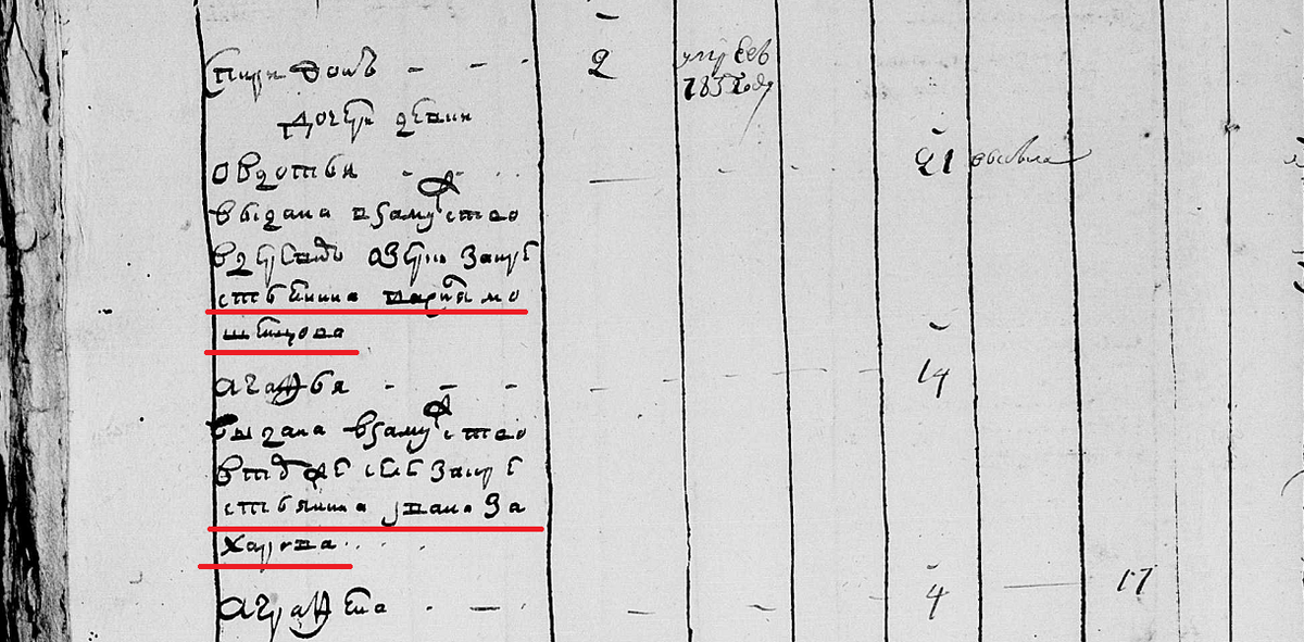 Фрагмент ревизии 1795 г. по с. Новый Усад Арзамасского уезда: показано, куда выданы девушки и имена мужей (ЦАНО ф.60 оп.239А д.167 л.764об).
