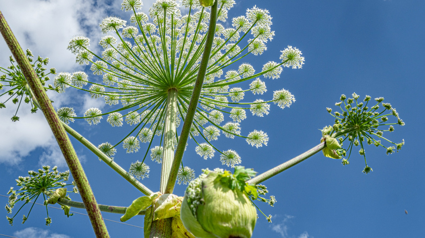    Фото: ИЗВЕСТИЯ/Константин Кокошкин